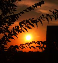 Artwork 281_qCSQDsb57pxv