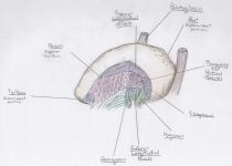 Artwork 59_87d8aTuN3ZbI