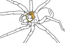 Artwork 59_B6cnd6vkSOvo