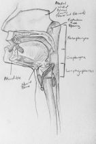 Artwork 59_q13YMP5eHj2g